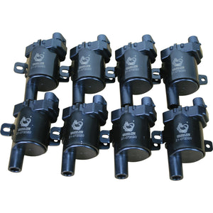 Ignition Coil Set - 1999-2007  GM SUV/TRUCK - ROUND Type - BLACK